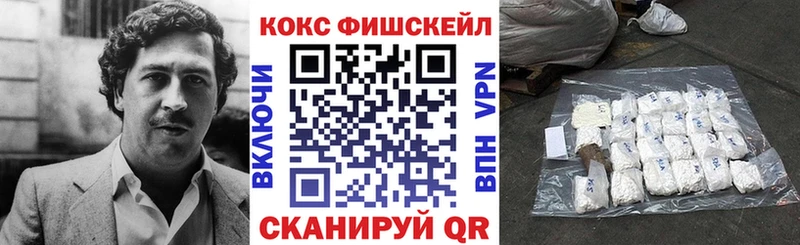 Купить закладки  Новомосковск  COCAIN 99% 