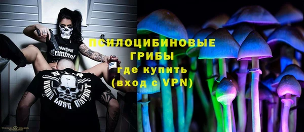 прущие грибы Карталы