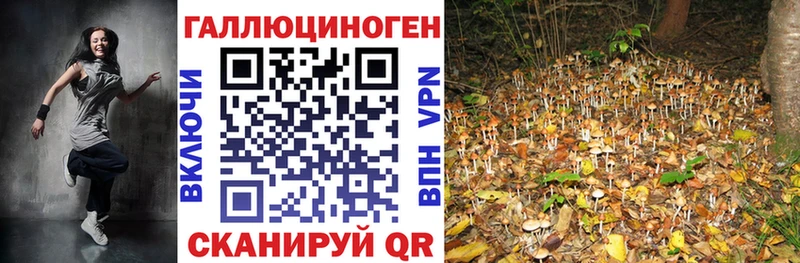 Галлюциногенные грибы прущие грибы  Купить  Новомосковск 